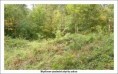 /album/fotogalerie-obrazky/mydlovar-jpg/